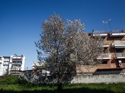 Πόσα χρόνια πρέπει να δουλεύουμε για να ...