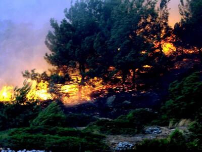 Πάτρα: Υπό έλεγχο φωτιά που εκδηλώθηκε σ...
