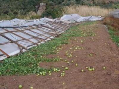 Αχαϊα: Άμεσα η αποκατάσταση των ζημιών α...