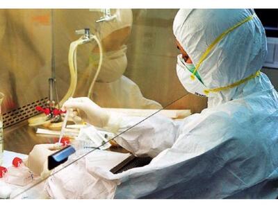 Δημιούργησαν στο εργαστήριο ανθρώπινο σκελετικό μυ