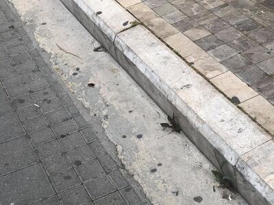 φωτογραφία facebook