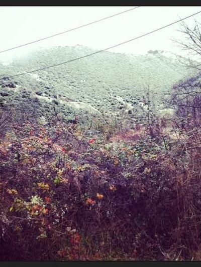 ΣΟΠΟΤΟ ΑΧΑΪΑΣ