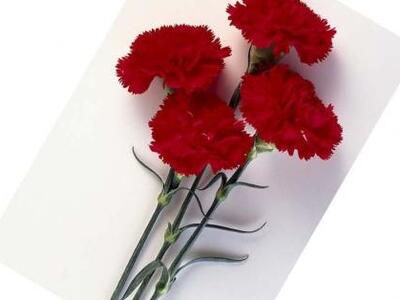 Πατρινή παιδίατρος «έφυγε» πρόωρα από τη...