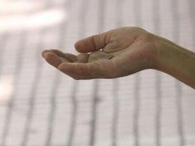 Ζάκυνθος: Εξωθούσαν στην επαιτεία τα ηλι...