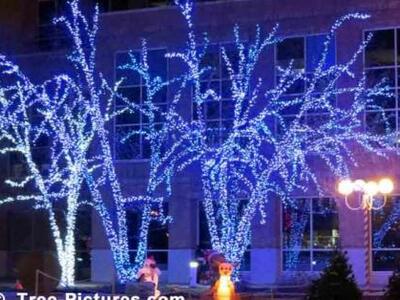 Στους εφευρέτες των μπλε φώτων LED το Νό...