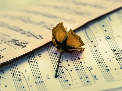 ΦΩΤΟ pixabay