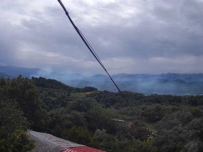 Αρχ. Ολυμπία: Πυρκαγιά στο Υψηλόν-  Η φω...