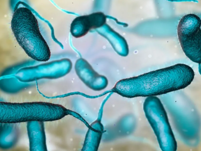 ΗΠΑ: Τρεις θάνατοι από βακτήρια που «τρώ...