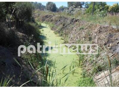 Αμαλιάδα: Οι κάτοικοι τρέμουν από το απο...