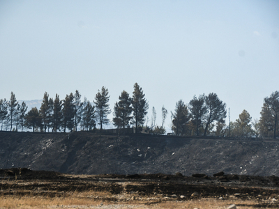 Καταγραφή επιχειρήσεων που επλήγησαν από...