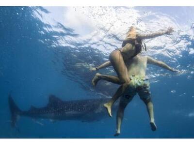 Αυστραλία: Φριχτός θάνατος 40χρονου ύστε...