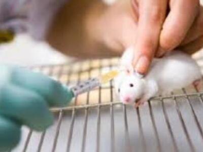 Eλληνες φοιτητές γίνονται «πειραματόζωα»...