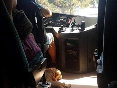 Ο αδέσποτος σκύλος του αστικού λεωφορείο...