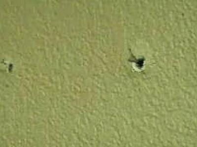 Πως θα «γεμίσεις» μια τρύπα στον τοίχο χ...