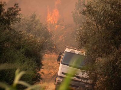 Δυτική Αχαΐα: Ειδικό πρόγραμμα ανασυγκρό...