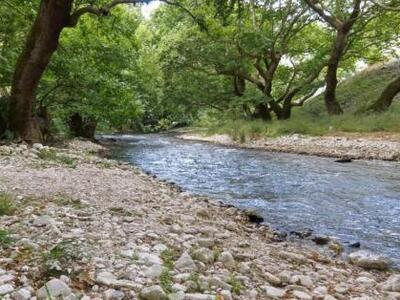 Χωματερή και γουρούνια στην παραλία του ...