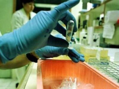 Αγρίνιο: Δεν οφειλόταν σε δάγγειο πυρεττ...