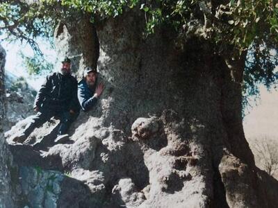 Του Εγγλέζου ο πρίνος