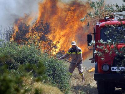 Πάτρα: Απολογισμός αντιπυρικής περιόδου ...