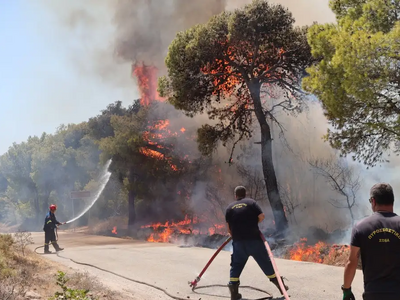 Φωτιά στη Φωκίδα: Οι φλόγες καίνε δάσος στον Δαφνό