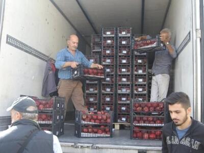 Αγρίνιο: Διανομή μήλων σε δικαιούχους το...
