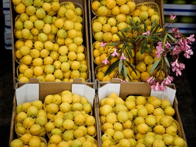 Παραβάσεις στη Λαχαναγορά της Πάτρας &qu...