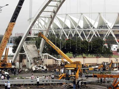 Προσέλαβαν πιθήκους ως μπράβους για ασφάλεια 