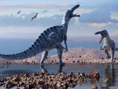 Βρέθηκε ο μεγαλύτερος δεινόσαυρος στην Ευρώπη 