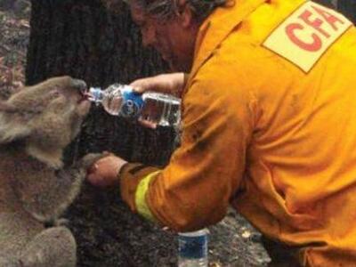 Η Χρύσα Ρώπα το παραδέχεται: «Πήγα στο Π...