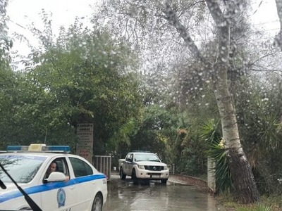 Φοινικούντα: Νέα στοιχεία από την ανάλυσ...