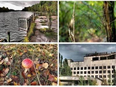 Δείτε τι συμβαίνει σε ένα δάσος στο Τσερ...