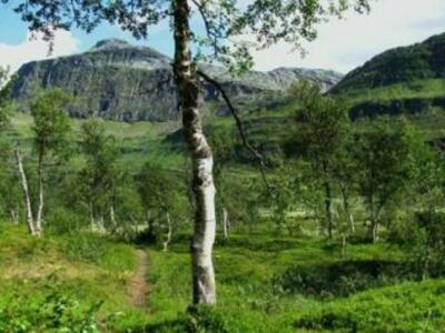 Θυσιάζεται ο φυσικός πλούτος της Κρήτης