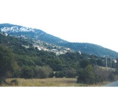 Πανηγύρι με γουρνοπούλα και λαικοδημοτικ...