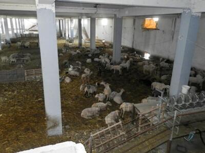 Σοβαρή πρόταση για βελτίωση - εκσυγχρονι...