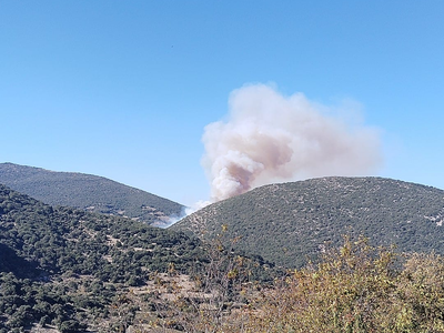 Πάτρα ΤΩΡΑ: Καίει ακόμα η φωτιά στο Πετρ...