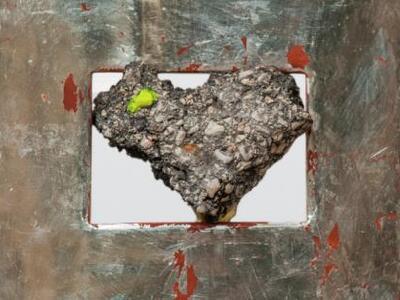 Η νέα δουλειά της Πατρινής γλύπτριας Βασ...