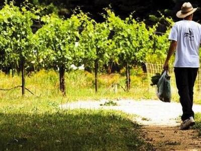 Πρόγραμμα για 445 ανέργους επιστήμονες 