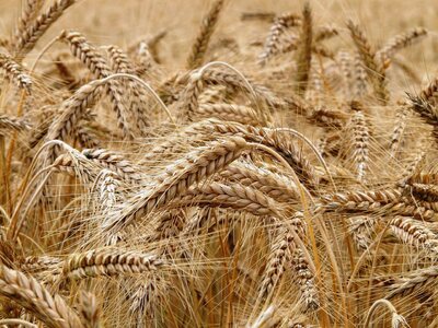 Παρουσιάζονται στην Πάτρα τα αποτελέσματ...