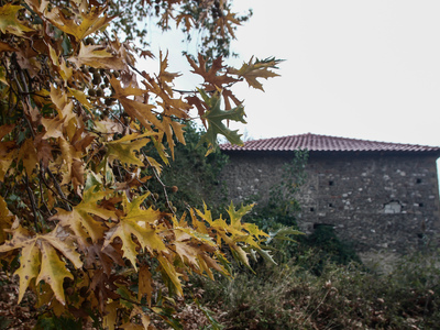 Τα πρώτα... χρώματα του φθινοπώρου