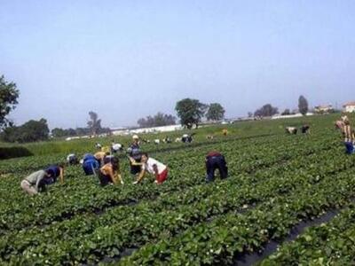 Ηλεία: Επιθεωρητές εργασίας στέλνει η κυ...