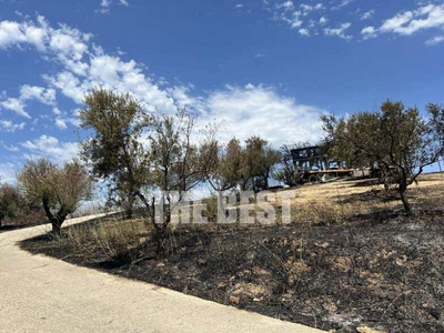 Πάτρα: Τι λέει για την ποιότητα του νερο...