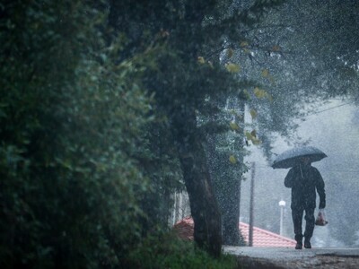Κρύο και σήμερα - Προσοχή στον παγετό - ...
