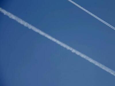 "Μας ψεκάζουνε σαν μύγες!" Τι ...