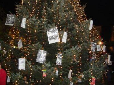 Πύργος: "Στόλισαν" το δέντρο μ...