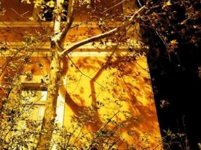 «Η Αθήνα ενός αθηναιογράφου»: Έκθεση φωτ...