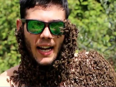 Δυτική Ελλάδα: 28χρονος μελισσοκόμος γίν...