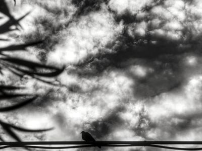 Τι καιρό θα κάνει σήμερα 