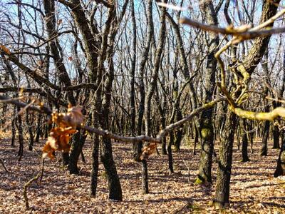 ΤΕΕ Δυτ. Ελλάδος και Αποκεντρωμένη Διοίκ...