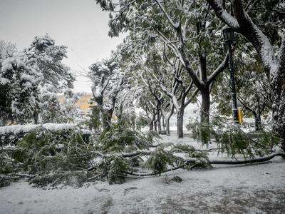 Χωρίς ρεύμα μέσα στον χιονιά - Δείτε τις...