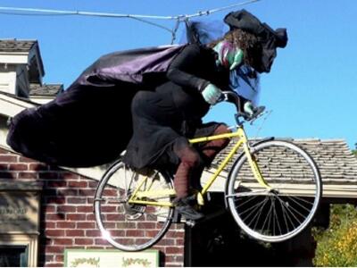 Μπούλες...καμικάζι στην Αμαλιάδα 